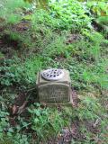 image of grave number 261917